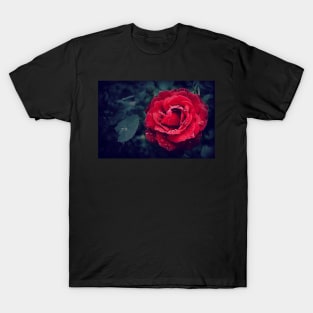 rose T-Shirt